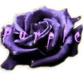 sticker_14185627_29107211
