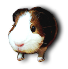 sticker_15684241_20180782