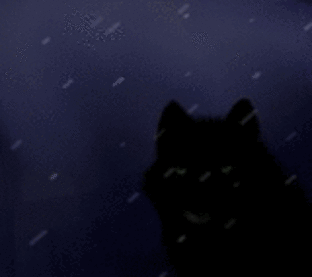 sticker_18078123_28066629