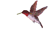 sticker_17324506_34067464