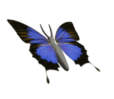 sticker_18193927_38727882
