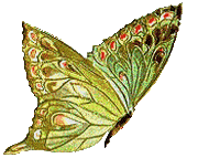 sticker_29085328_43784322