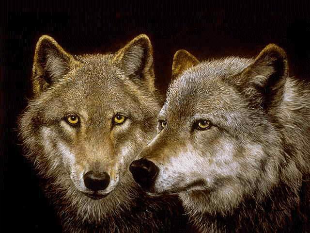 sticker_20004153_28283937