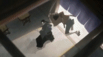 sticker_454512_10827443