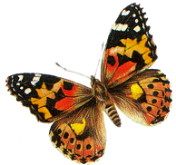 sticker_6015091_7993036