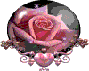sticker_24597857_33253728