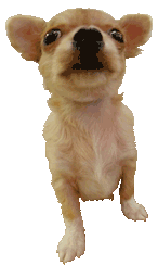sticker_2558234_7073117