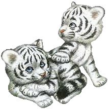 sticker_7441559_17737007