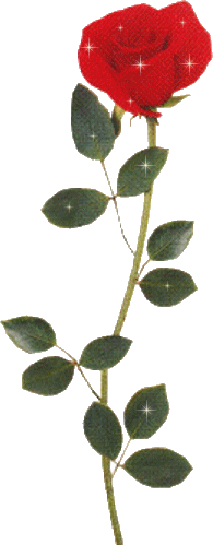 sticker_9601128_17598006