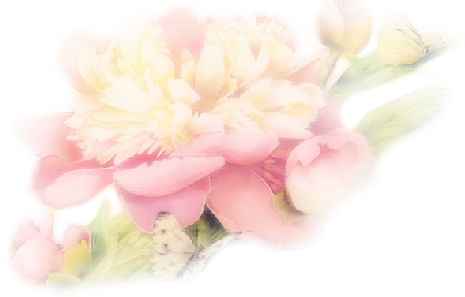 sticker_20819331_29936100