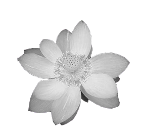 sticker_22033028_29821647