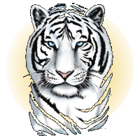 sticker_14907796_24470927