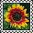 sticker_21382913_33021555