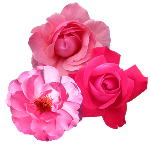 sticker_18073926_40491670