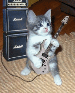 sticker_9728165_16308262