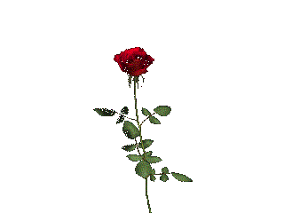sticker_20868769_32618627