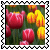 sticker_12961452_32367438