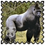 sticker_21714274_36014218