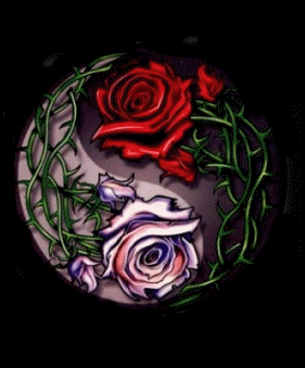 sticker_24227332_39879230