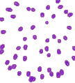 sticker_21184529_39531327