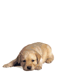 sticker_20021762_39397301