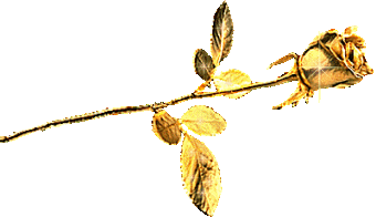 sticker_3282443_34086984