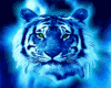 sticker_27118118_42913677