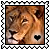 sticker_5157408_37409620