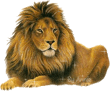 sticker_19885936_38180040