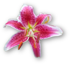 sticker_9147000_27277696