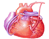 sticker_11286883_35505909