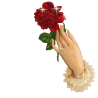 sticker_22384652_35033096