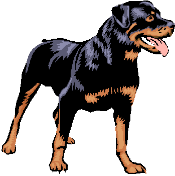 sticker_2240520_2604453