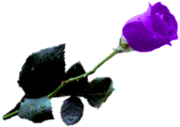 sticker_7263256_37021983