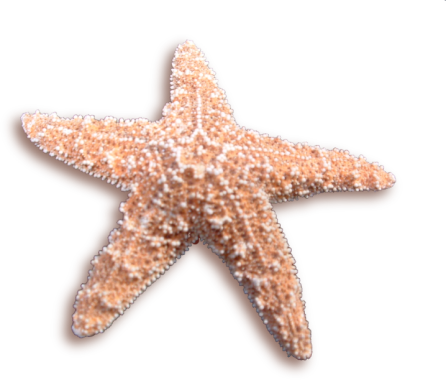 sticker_16944802_39607993