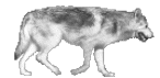 sticker_11588557_19372060