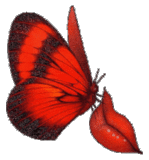 sticker_16776722_27390548