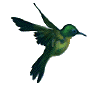 sticker_17324506_34066984