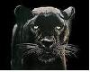 sticker_16545684_22081843