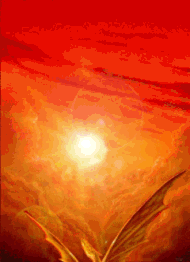 sticker_9904036_33098515