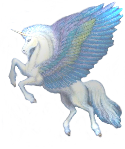 sticker_29059225_39716378