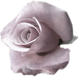 sticker_1149888_2254008