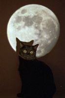 sticker_22448250_39768994