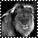 sticker_11914440_47590440