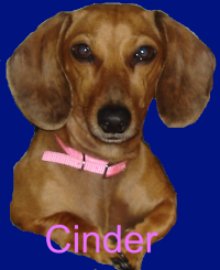 sticker_14915318_27191332