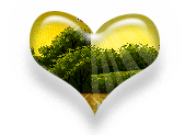 sticker_14294632_31070226