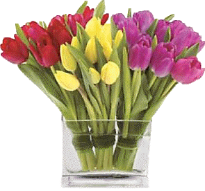 sticker_12051161_17092631