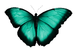 sticker_479385_782862