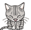 sticker_19909200_39618872