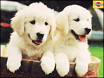 sticker_14158913_18734102